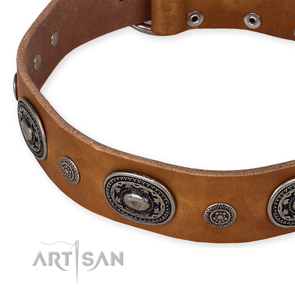 Snugly fitted leather dog collar with almost unbreakable non-rusting fittings