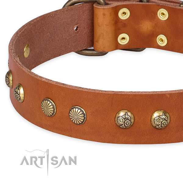 Quick to fasten leather dog collar with extra strong rust-proof hardware