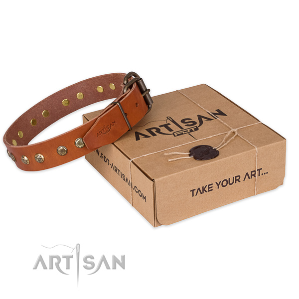 Stylish leather dog collar for daily walking