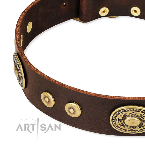 Snugly fitted leather dog collar with extra sturdy hardware