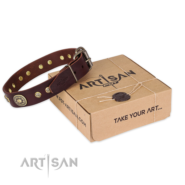 Top quality full grain leather dog collar for stylish walking