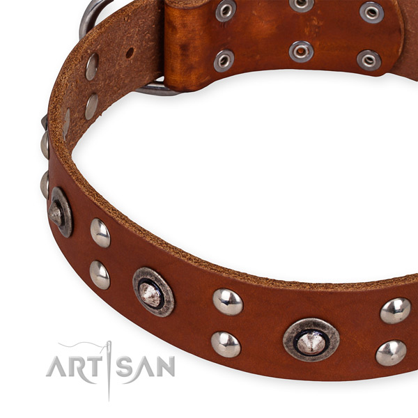Snugly fitted leather dog collar with extra sturdy rust-proof hardware