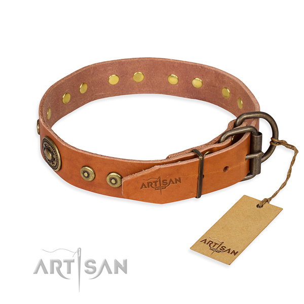 Daily leather collar for your favourite canine