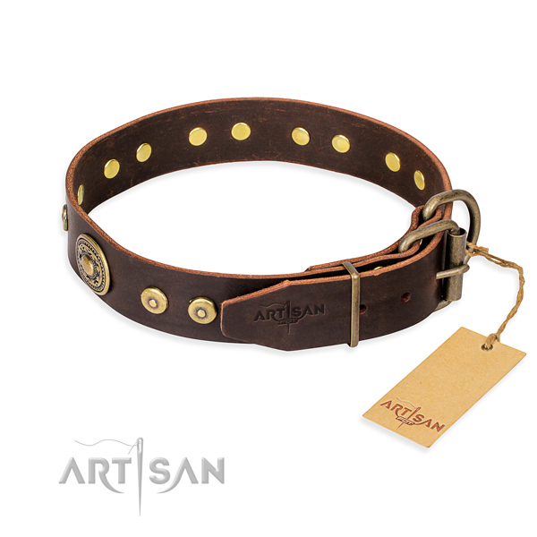 Multifunctional leather collar for your beloved four-legged friend