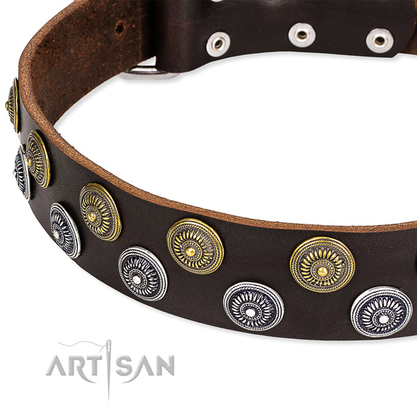 Easy to use leather dog collar with extra strong chrome plated fittings