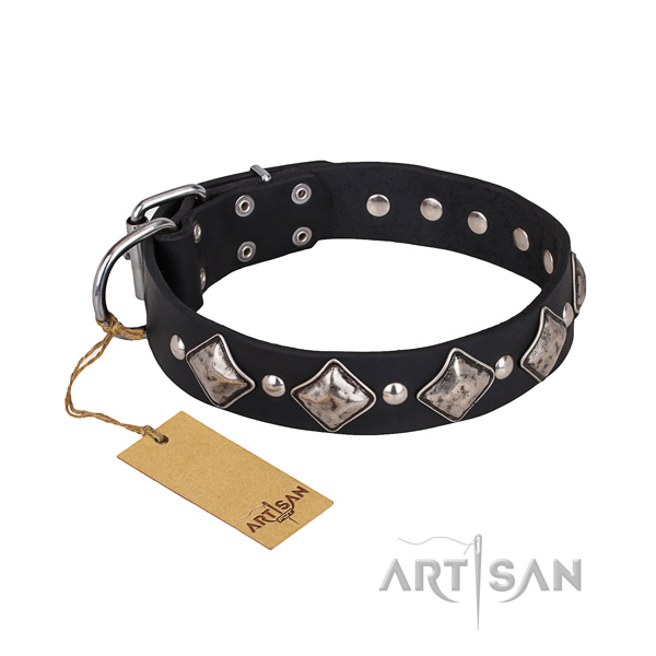 Indestructible leather dog collar with brass plated hardware