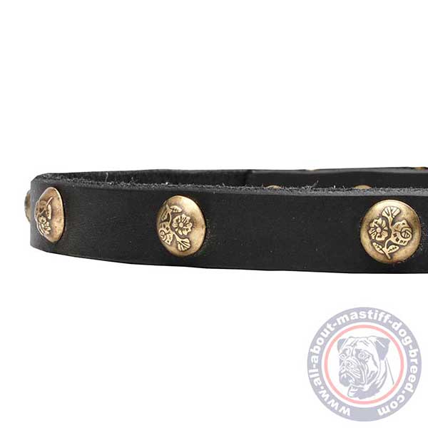 Soft leather dog collar for walking