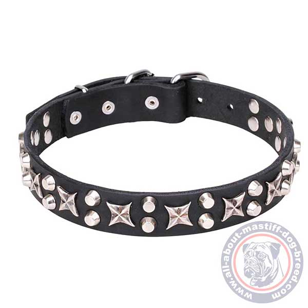 Adorned leather dog collar