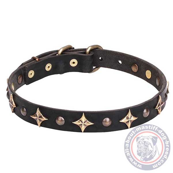 Leather dog collar with golden-like studs and stars