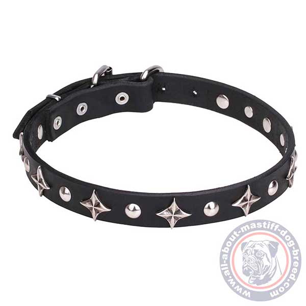 Studded leather dog collar