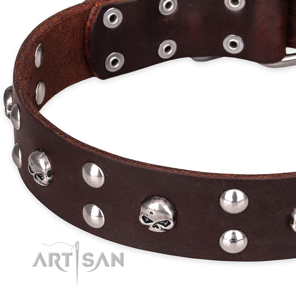 Leather dog collar with thoroughly polished edges for pleasant daily walking