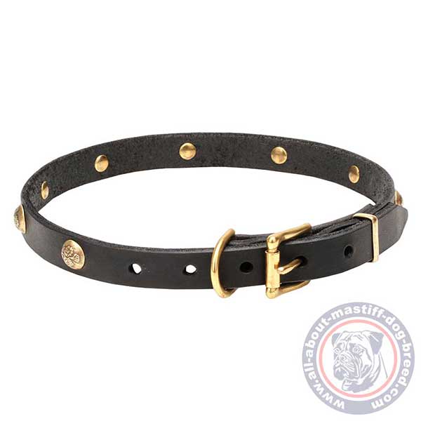 Reliable leather dog collar with classic buckle