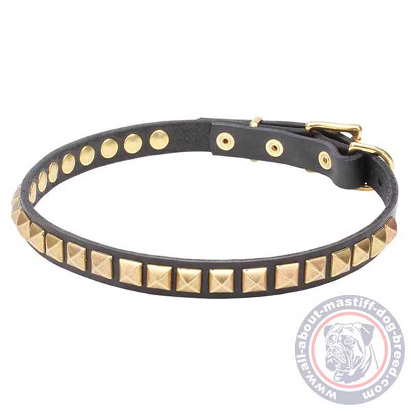 Brass studded leather dog collar