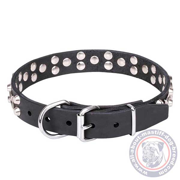 Leather dog collar with rust-proof buckle and D-ring