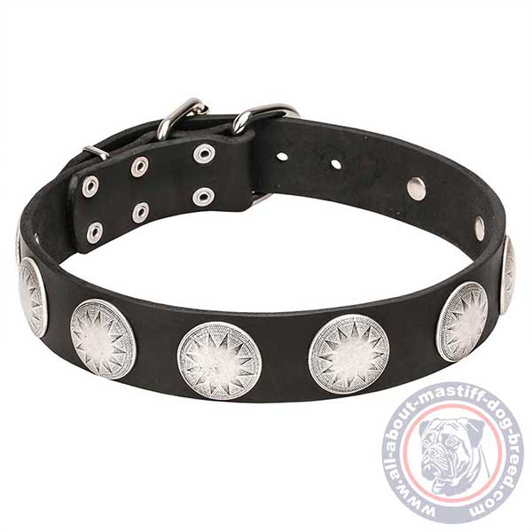 Adorned leather dog collar for walking