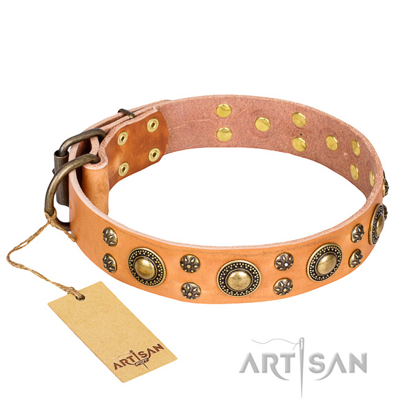 Versatile leather collar for your stunning canine