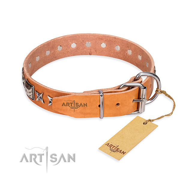 Tear-proof leather collar for your stunning four-legged friend