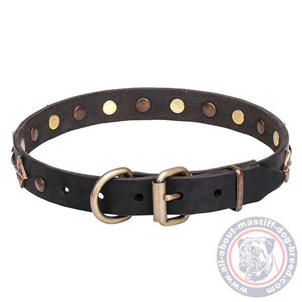 Leather dog collar with sturdy fittings