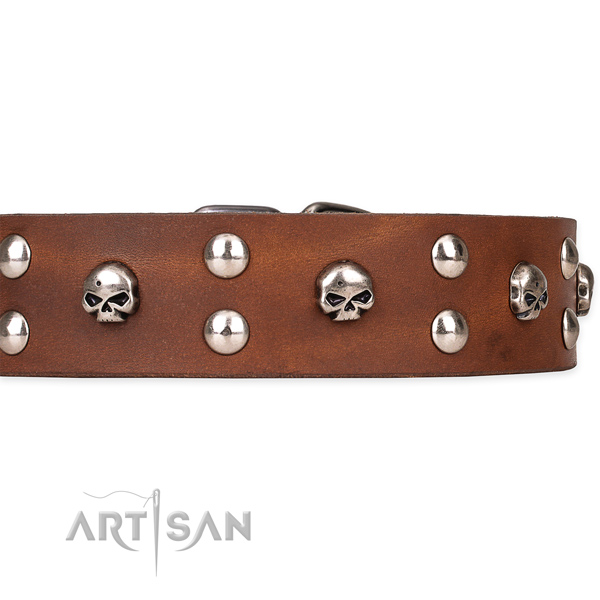 Heavy-duty leather dog collar with rust-resistant elements