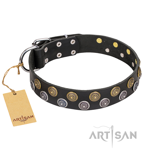 Durable leather dog collar with strong details