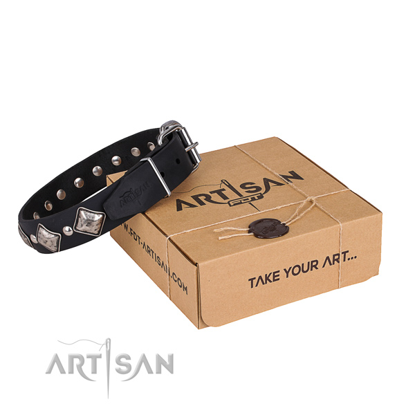 Day-to-day leather dog collar with extraordinary embellishments