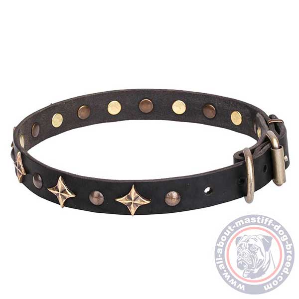 Fashion leather dog collar with studs