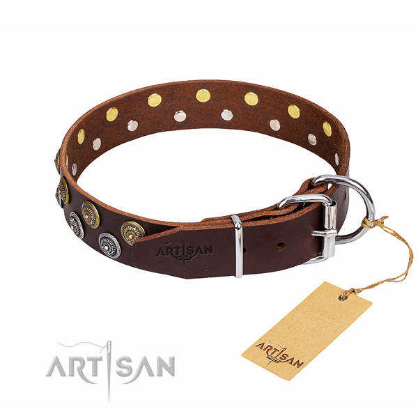 Long-lasting leather dog collar with rust-proof details