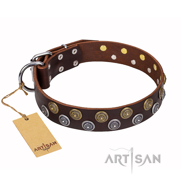 Practical leather collar for your beloved pet