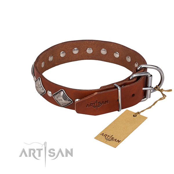 Natural leather dog collar with thoroughly polished exterior