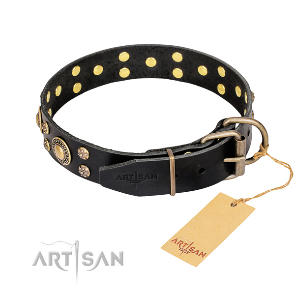 Stylish leather collar for your noble four-legged friend