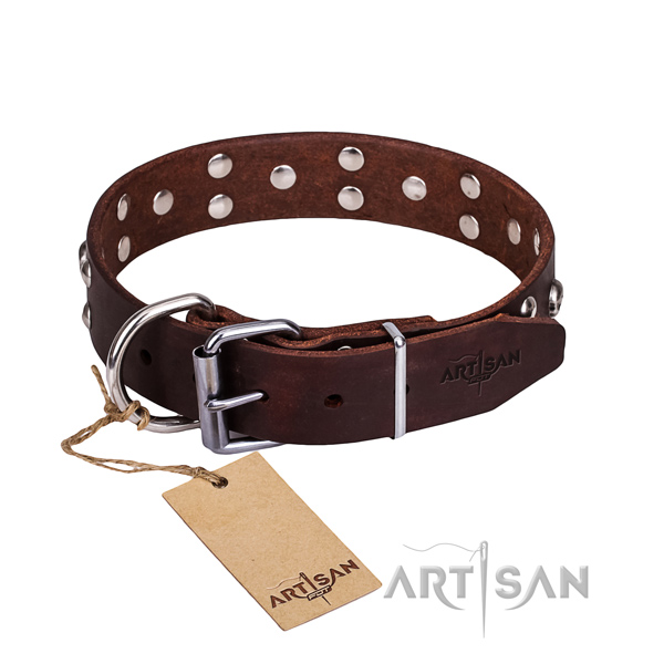 High quality leather dog collar for stylish walking