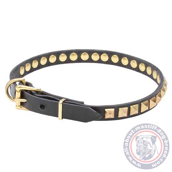 Studded leather dog collar for walking