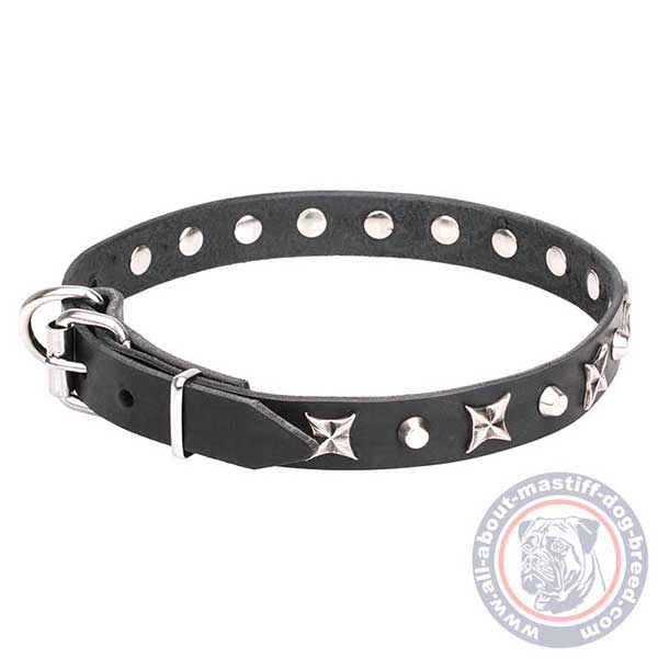 Functional leather dog collar