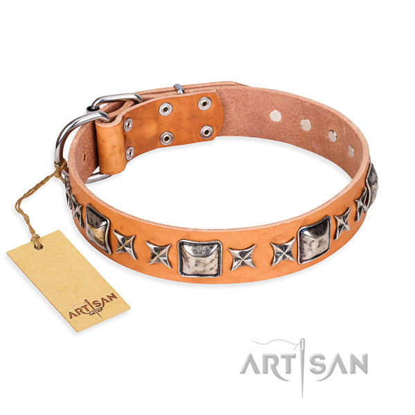 Sturdy leather dog collar with durable hardware