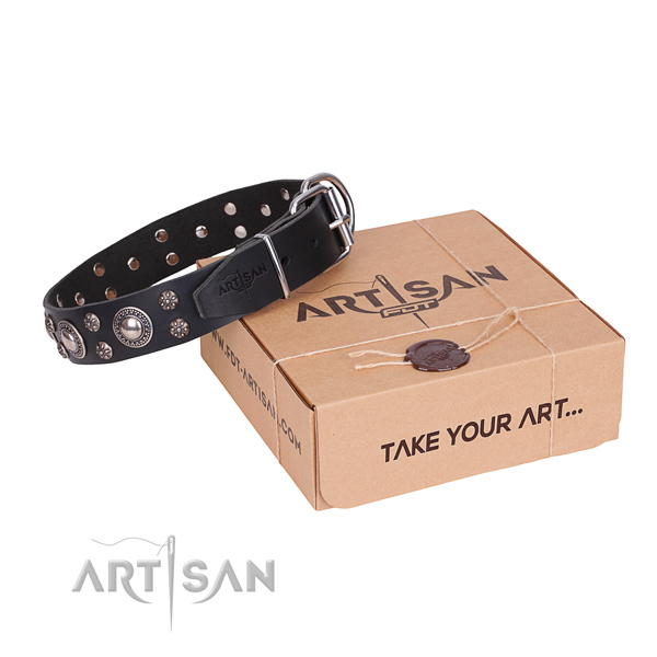 Casual style leather dog collar with astounding embellishments