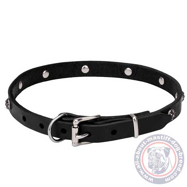 Leather dog collar with silver-like fittings