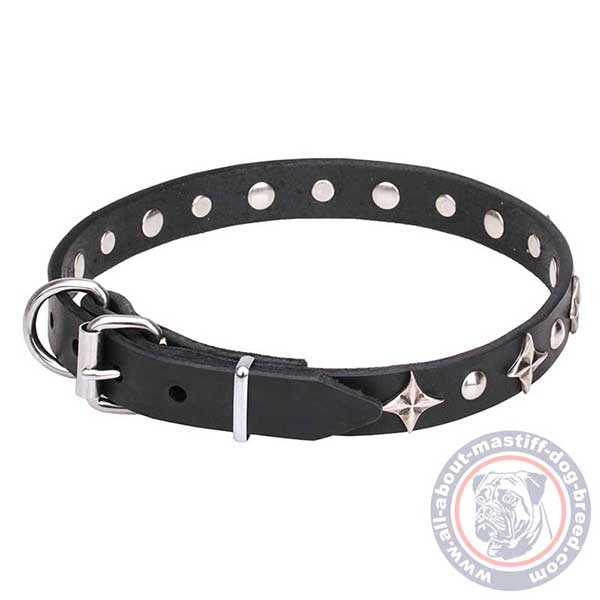 Adjustable leather dog collar