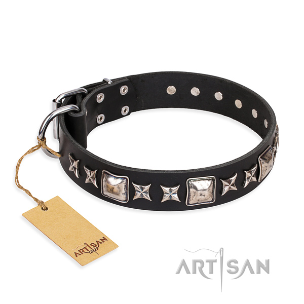 Resistant leather dog collar with sturdy hardware