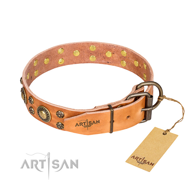 Tough leather dog collar with rust-proof details