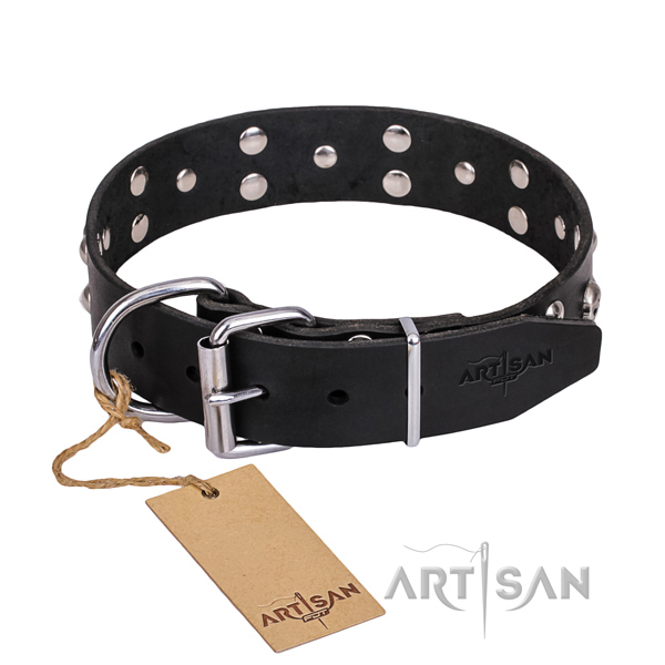 Day-to-day leather dog collar with exciting adornments