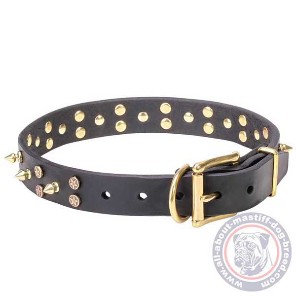 Leather dog collar with brass buckle