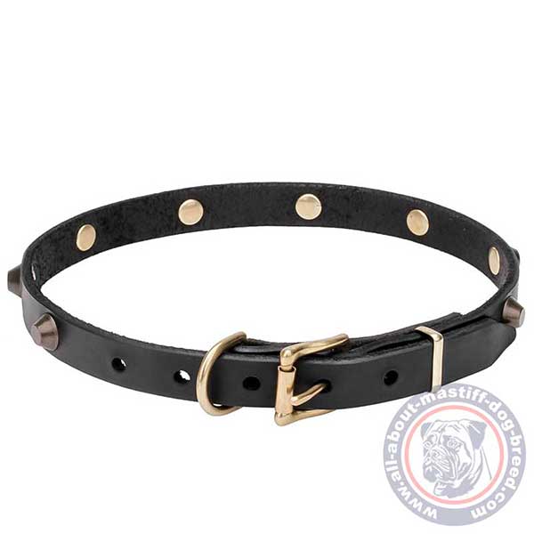 Studded leather dog collar for strolling