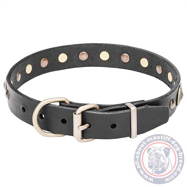 Leather dog collar with sturdy buckle
