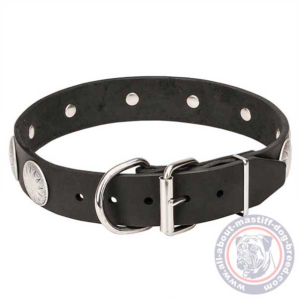 Leather dog collar with reliable hardware