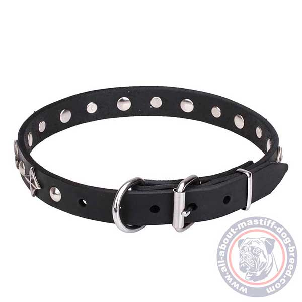 Leather dog collar with buckle and D-ring