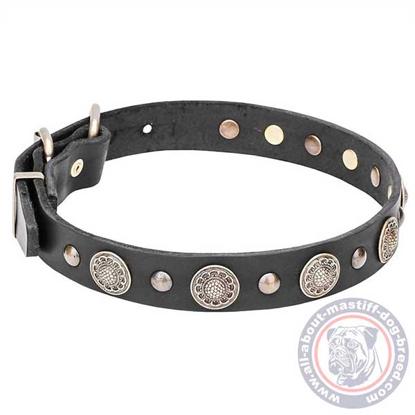 Adorned leather dog collar with studs