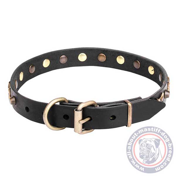 Leather dog collar with reliable buckle and D-ring