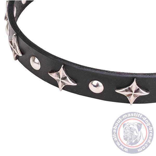 Adorned with studs leather dog collar