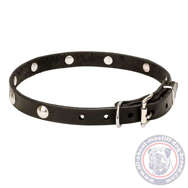 Leather dog collar for multifunctional use
