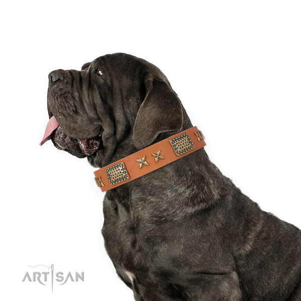 Mastiff exquisite full grain natural leather dog collar for comfortable wearing title=Mastiff full grain genuine leather collar with studs for everyday walking